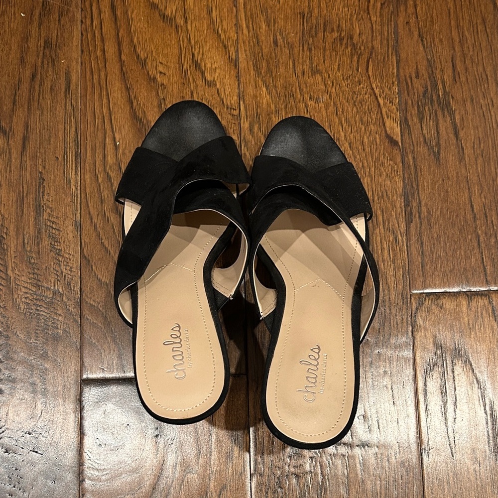 Charles by Charles David Black Suede and Cork Open-Toe Mules